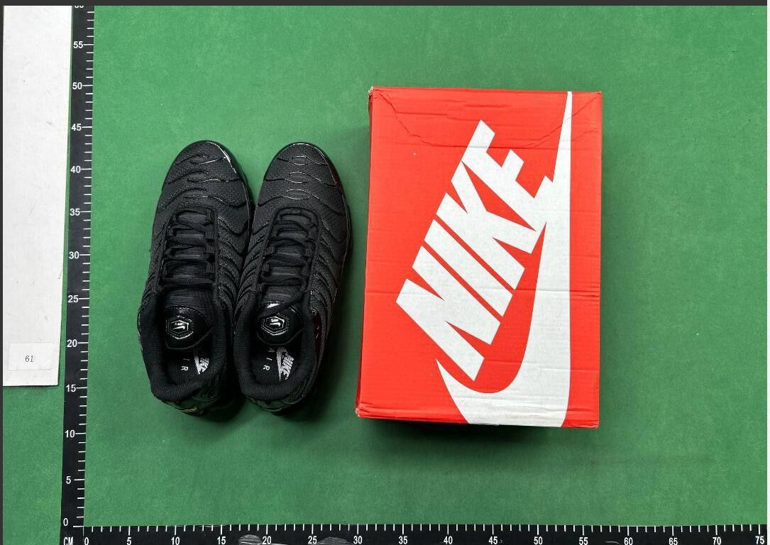 TN Batch  Nike Air Max plus -1